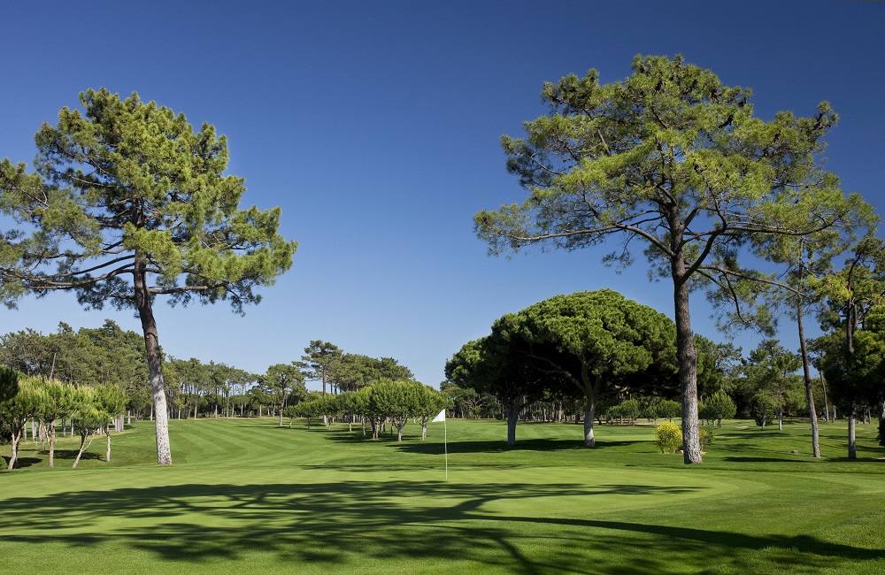 Les arbres du golf The Old Course Golf Club au Portugal 