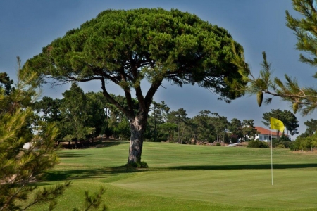 Green du golf d'Estoril au Portugal 